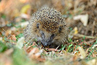 《逃离后室》1.0正式版现已发布，全新关卡、分支结局与更多未知惊喜等待探索